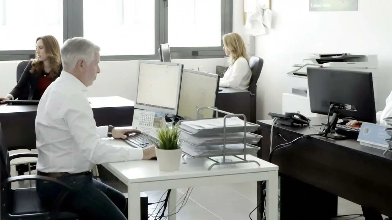 El equipo de Delios Asesores trabajando en su oficina